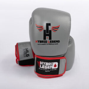 gants de boxe