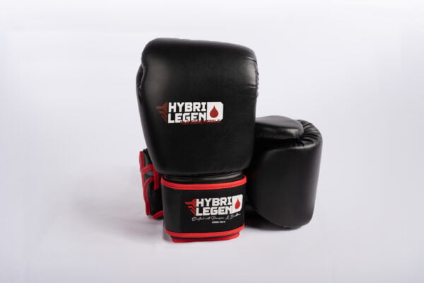 gants de boxe hybrid legend essentials